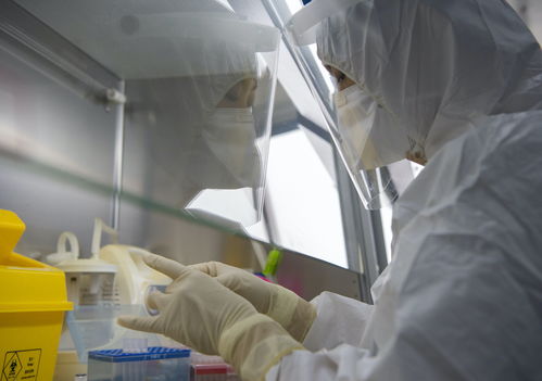 金域醫(yī)學(xué)舉全集團(tuán)之力，支援北京核酸檢測日產(chǎn)能突破3萬例